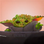 Baby Green