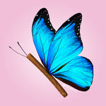 Butterfly Effect T-shirt