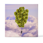 Lift Off Set