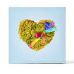 Love Is Love Set