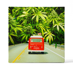 VW Bud