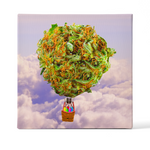 Lift Off Set