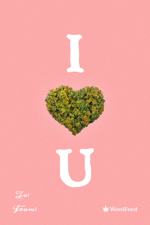 I Heart You Valentine's Day Card