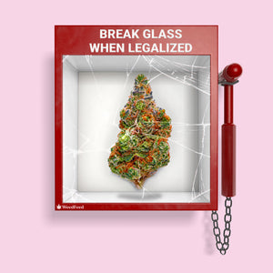 Break Glass When Legalized