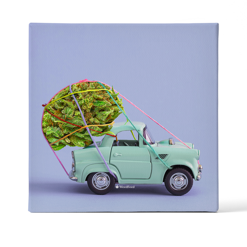 The Little Hotbox That Could