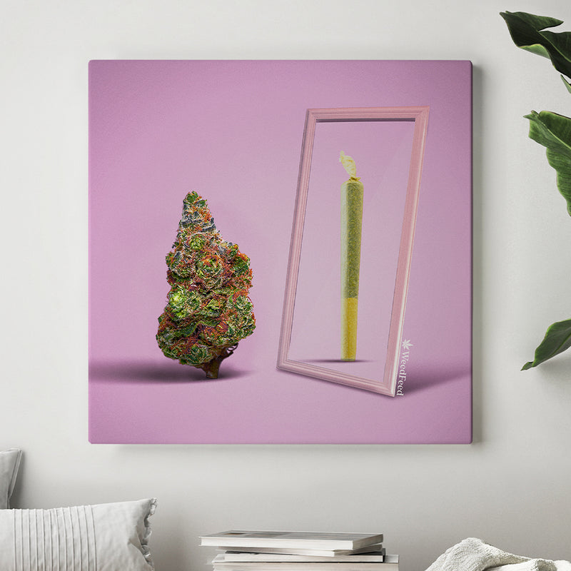 "It's Called 'Fashion', Sweety"