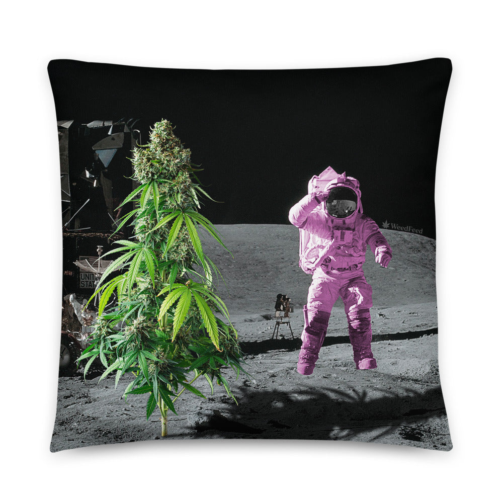 Apollo 420 Pillow