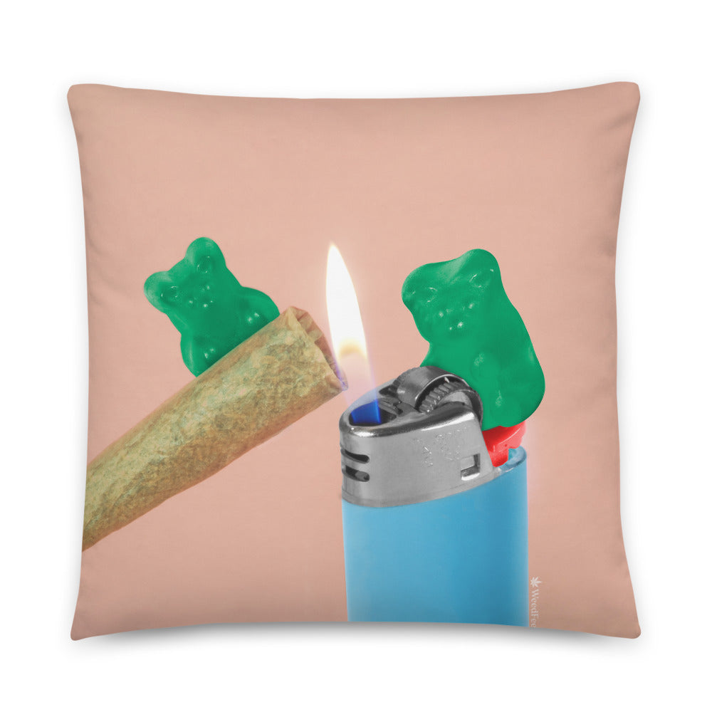 cannabis weed gift pillow gift for stoner lighter edibles weedfeed weed feed great gift marijuana rasta