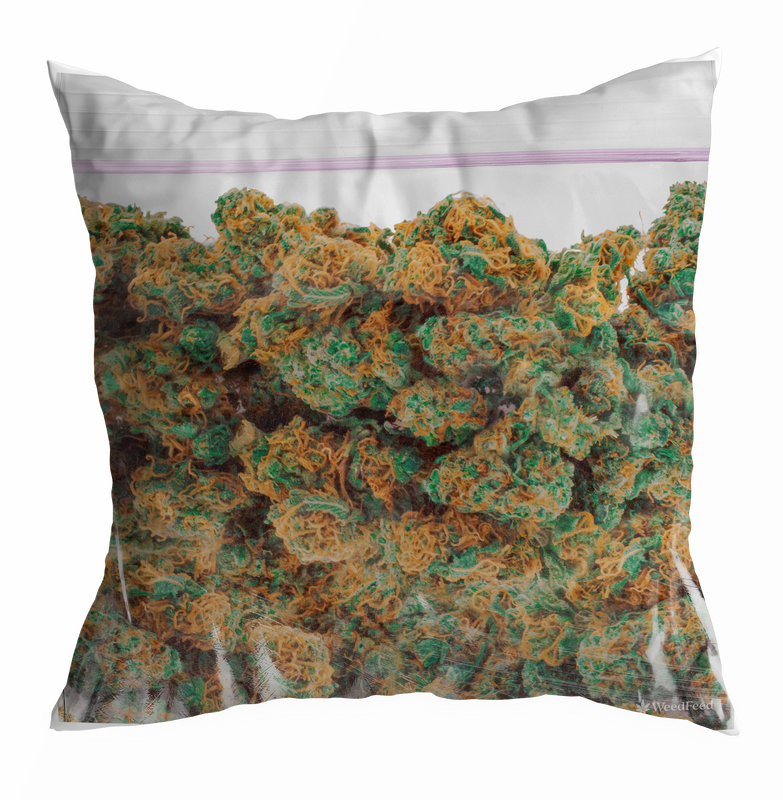 Stash Pillow