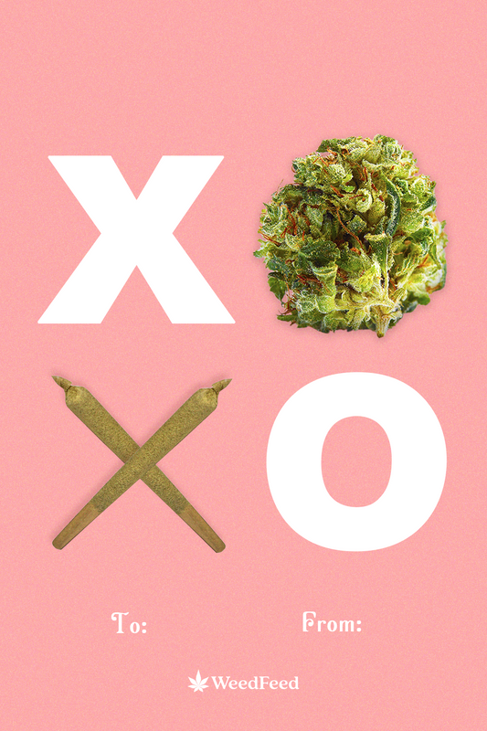 XOXO Greeting Card
